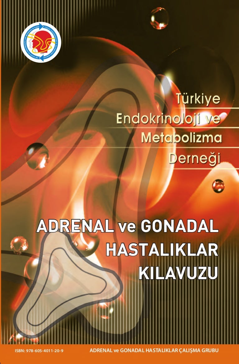 Kortizol: seviyesi nasıl düşürülür Kortizol nedir ve ne için sorumludur Kortizol: seviyesi nasıl düşürülür Kortizol nedir ve ne için sorumludur